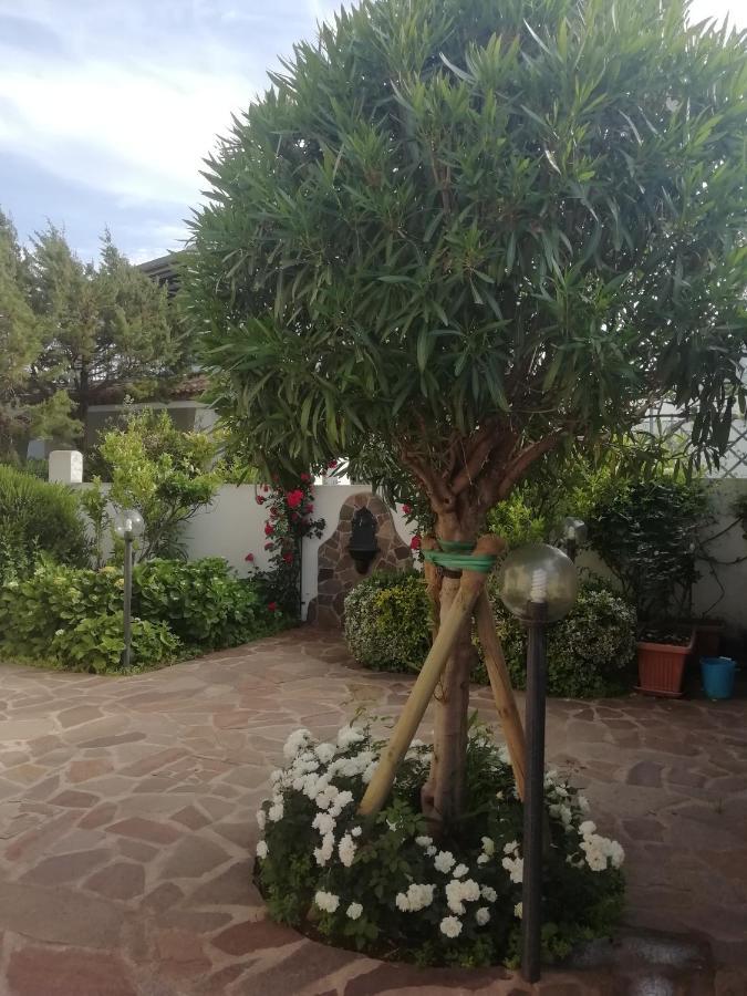 Casa Vacanze Villa Rosa 칼라고노네 외부 사진