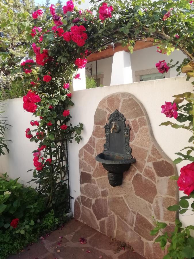 Casa Vacanze Villa Rosa 칼라고노네 외부 사진