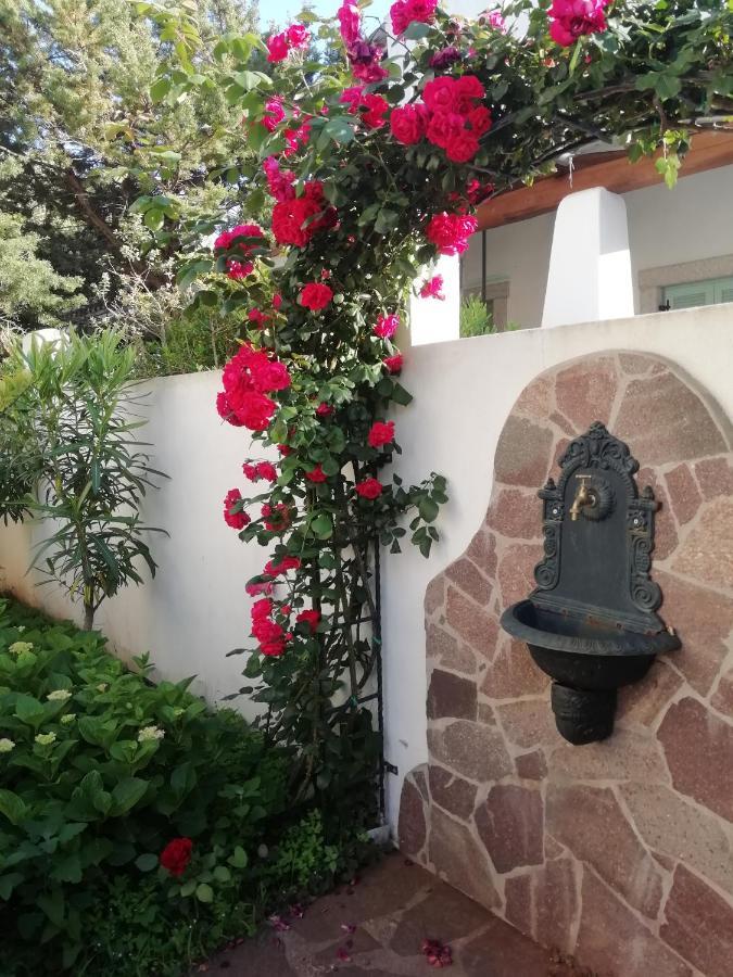 Casa Vacanze Villa Rosa 칼라고노네 외부 사진