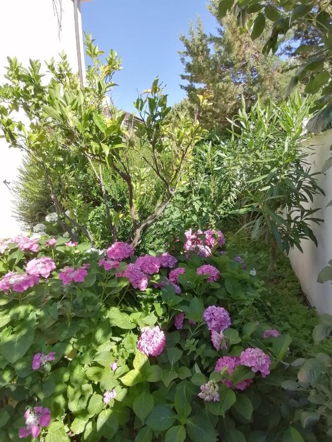Casa Vacanze Villa Rosa 칼라고노네 외부 사진