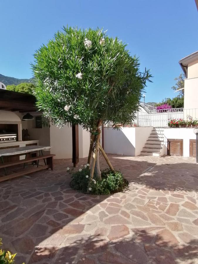Casa Vacanze Villa Rosa 칼라고노네 외부 사진